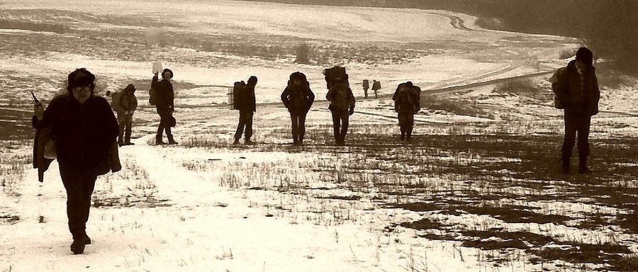 FOTO 15