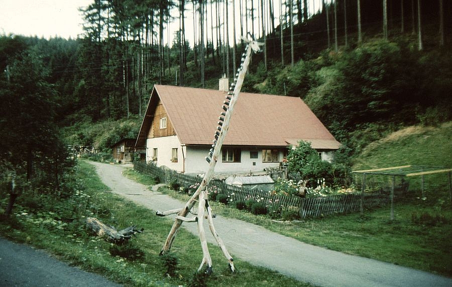 FOTO 12