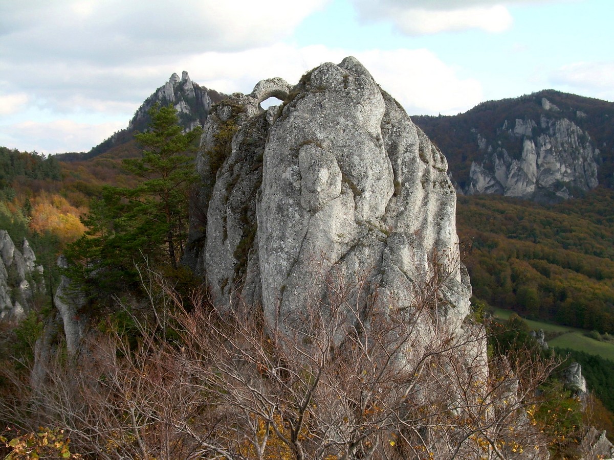FOTO 10