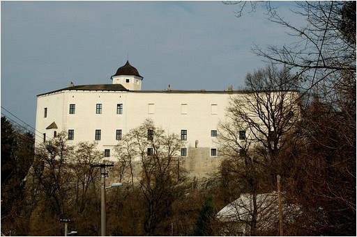 hrad-malenovice.jpg